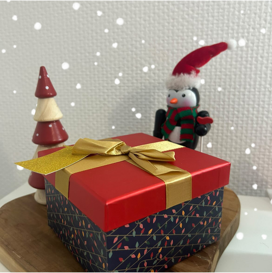 Le cadeau de Noël